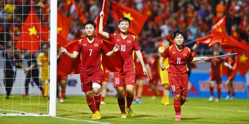 Quy định của điều khoản đối với người dùng