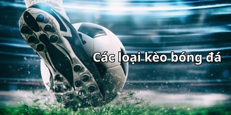 Tìm hiểu về chuyên mục tỷ lệ cược bóng đá